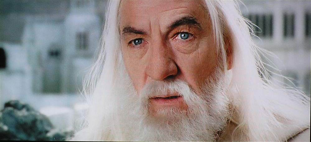 To после begin. хищник фильм 1987. Live stream will begin shortly. Simon daum. Predator: soon the hunt will begin nes.