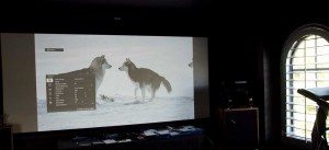 VPL-HW65ES_hdtv_wolves_light