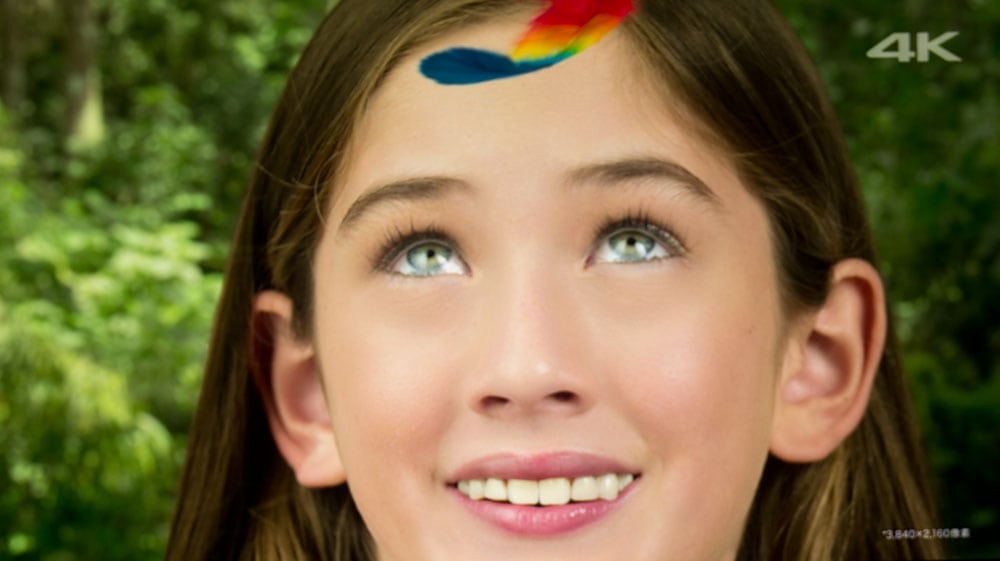 DLA-RS4910_feather-girl
