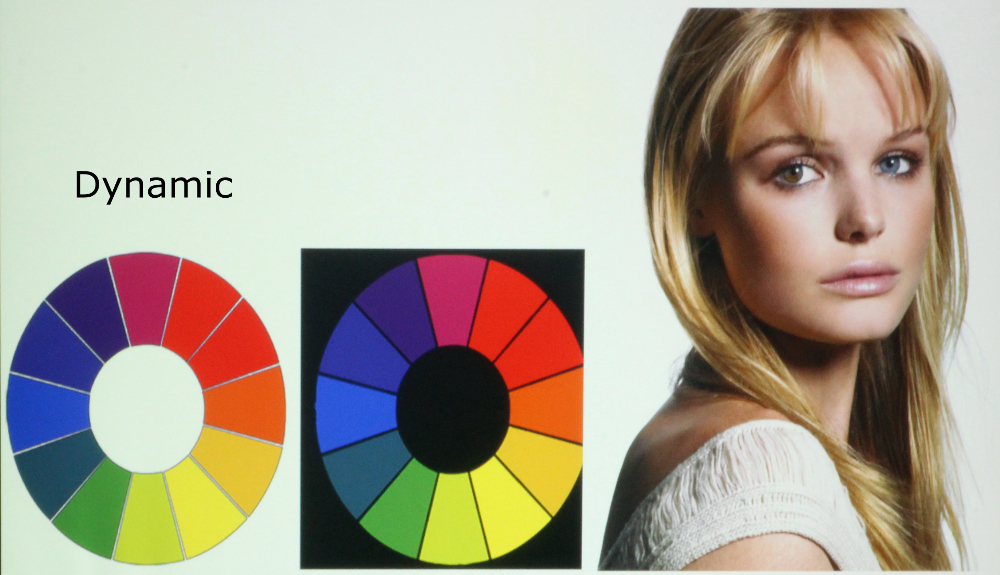 Epson 955WH-Color Wheet-Dynamic