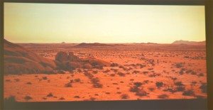 w29 2001 desert scene