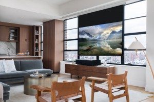 sony_vz1000es-projector_living-room_daylight