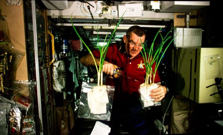 VPL-VW885ES_4K_astronaut_plants