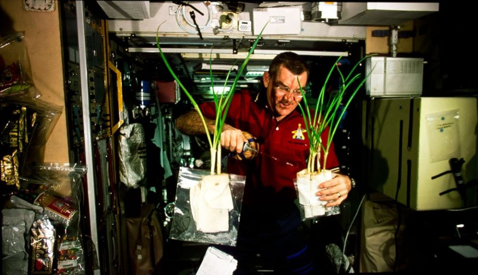 VPL-VW885ES_4K_astronaut_plants