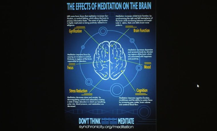 Casio XJ-L8300HN Presentation Meditation and Brain