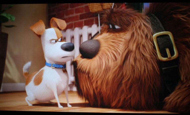 Elite Screens CineGrey 3D 4K Secret Life of Pets Dogs