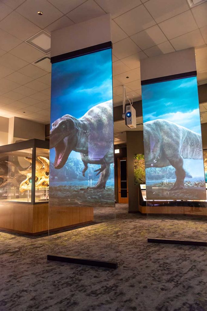 NEC’s Laser Projectors With Great Performance, Plus Innovation Comes