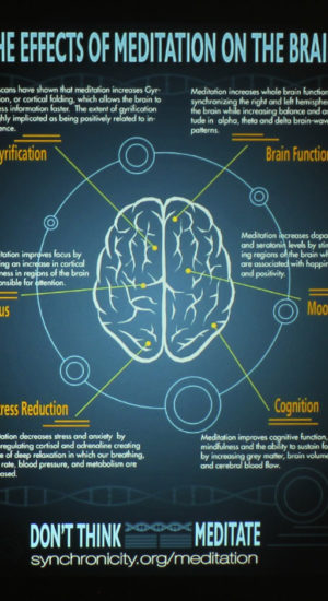 Casio-XJ-F211WN_Infographic-Brain-Meditation