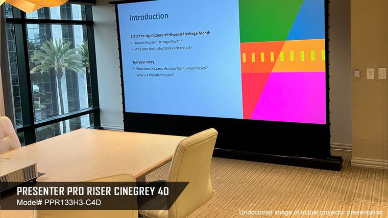 CineGrey 4D in a meeting room