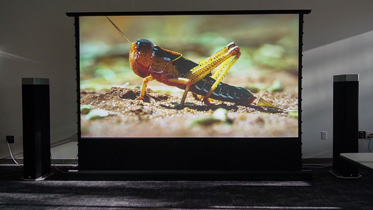 Grasshopper on Cinegrey 4D Screen