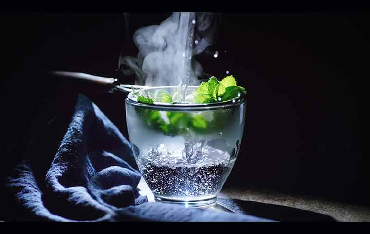 Hot water being poured over mint leaves