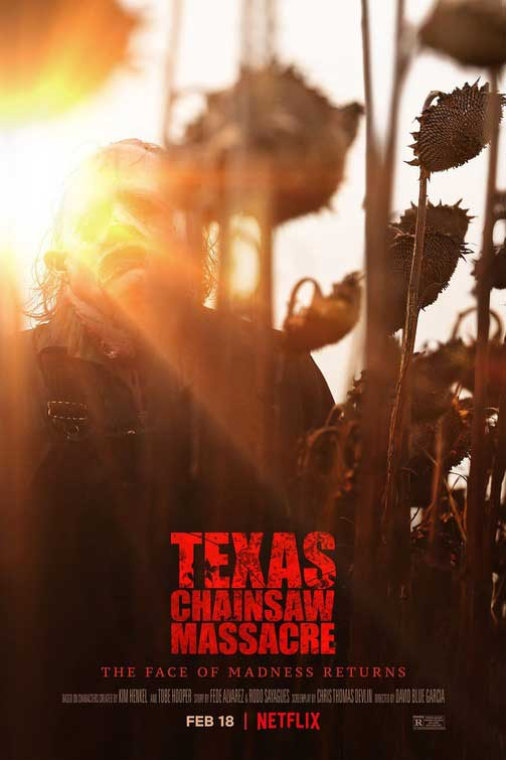 Texas Chainsaw Massacre Movie Poster - Projector Reviews