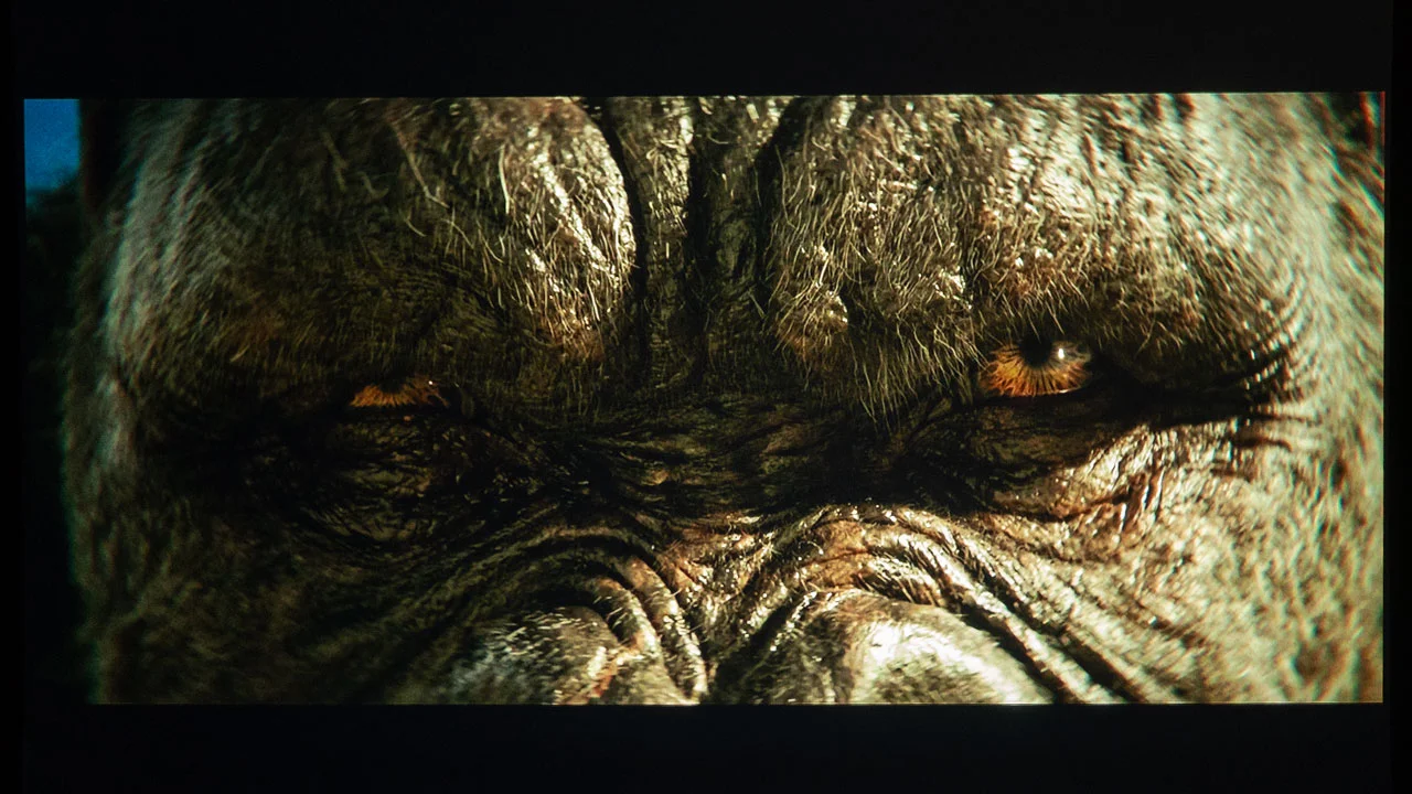 Godzilla X Kong Picture Quality - Projector Reviews - Image
