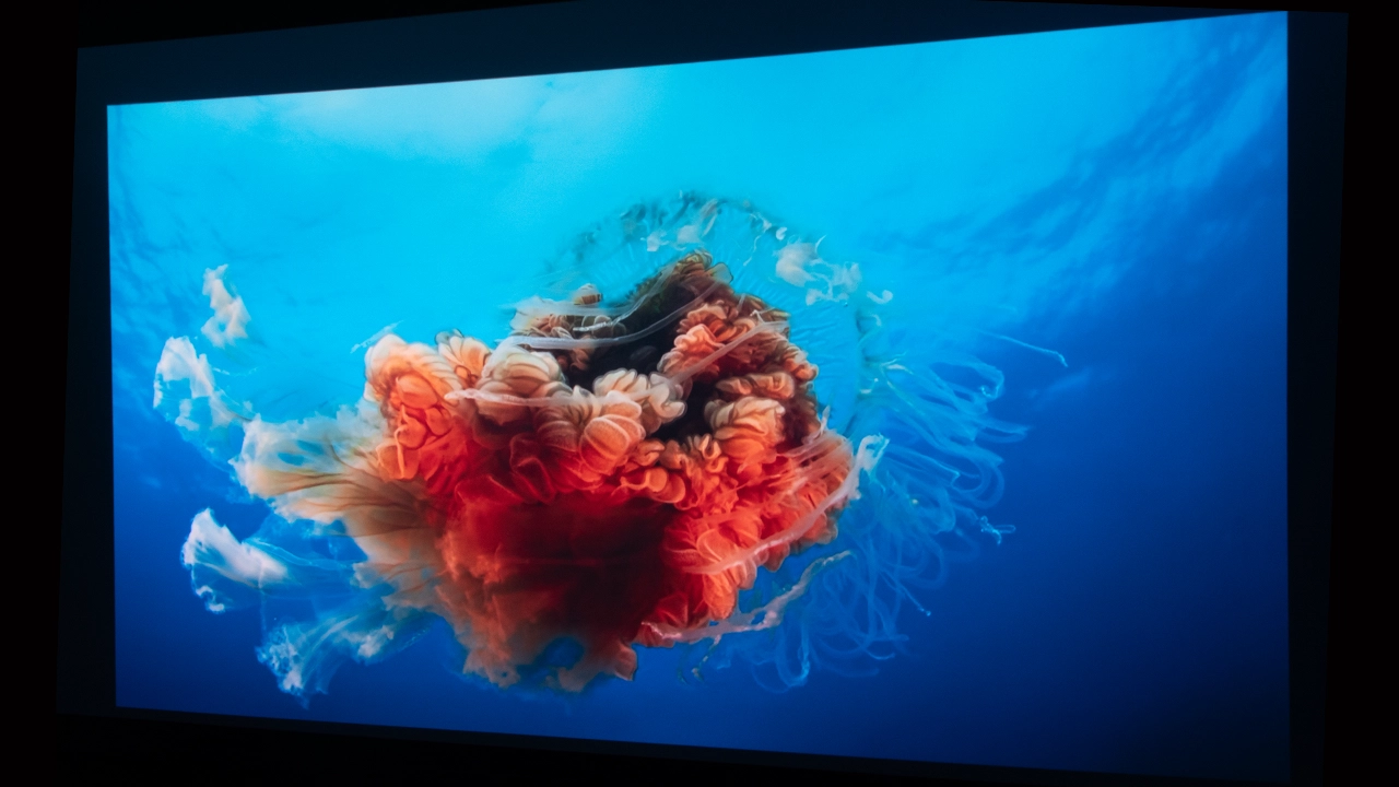 Hisense_PX3-PRO_HDR#2 - Projector Reviews Images