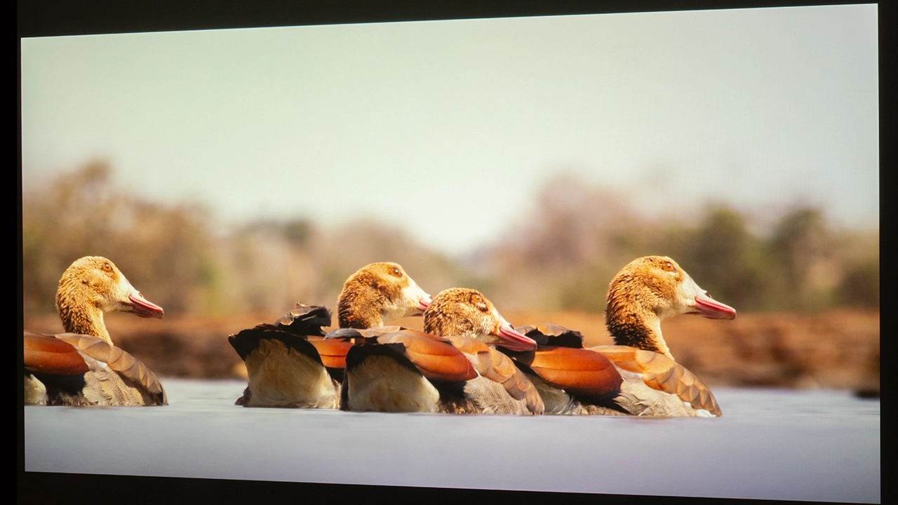 BenQ AH700ST "Ace" Brightness - Projector Reviews Images
