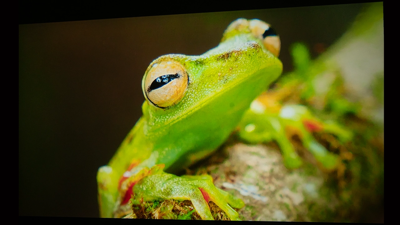 ViewSonic_LX60HD_Color#1