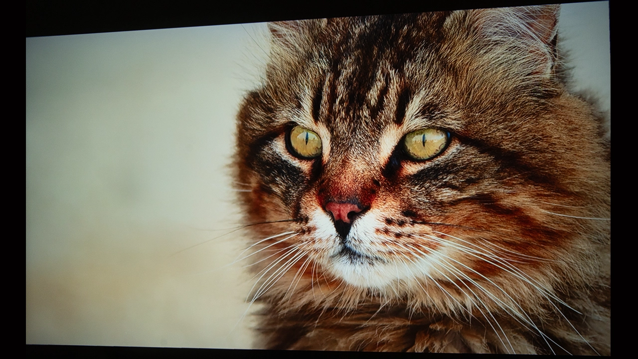 ViewSonic_LX60HD_Color#2