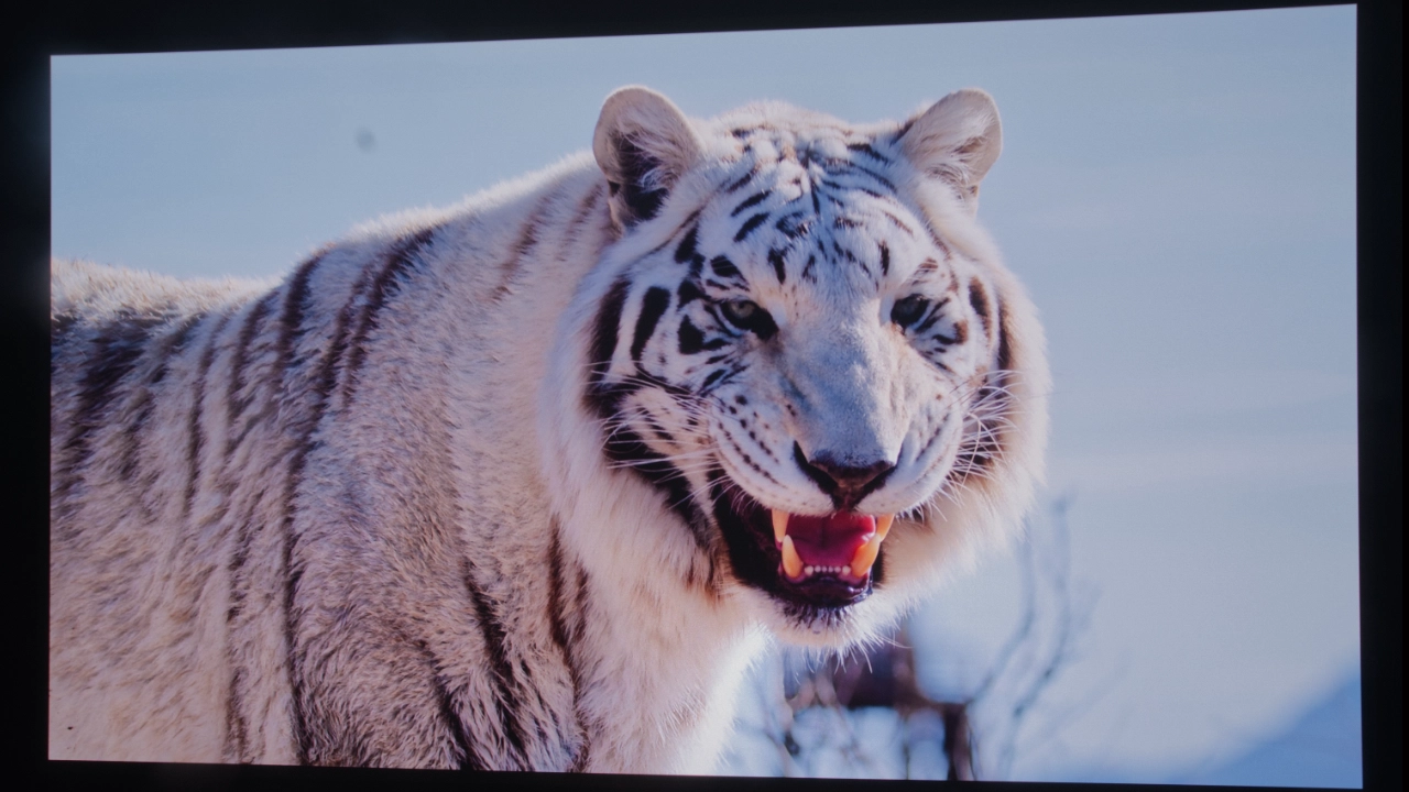 Hisense_C2_Ultra_Bright#7