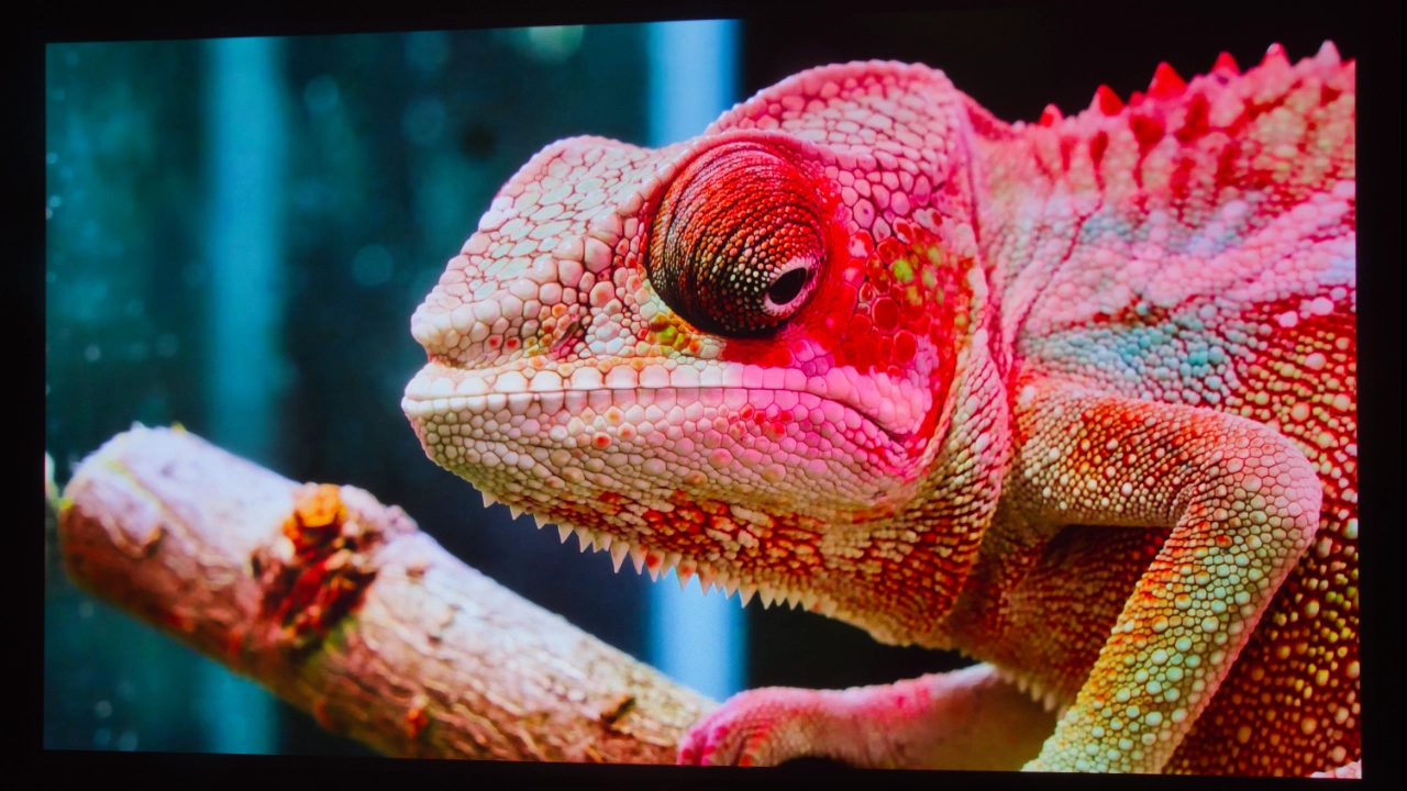 Hisense_C2_Ultra_Color#7