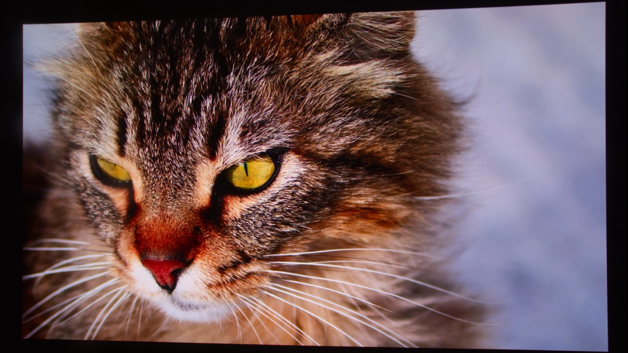 Hisense_C2_Ultra_HDR#1