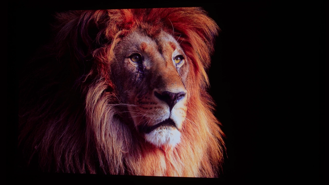 Hisense_C2_Ultra_SDR#1