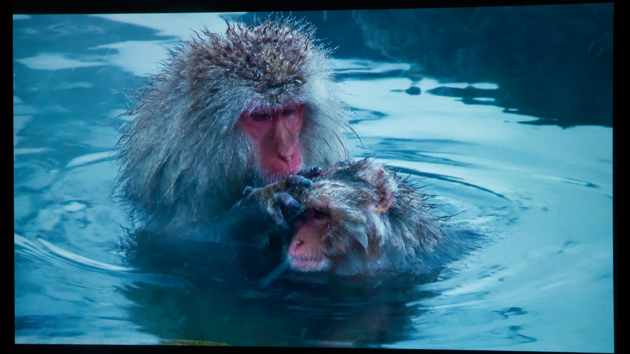 Epson_EH-LS9000B_SDR#3