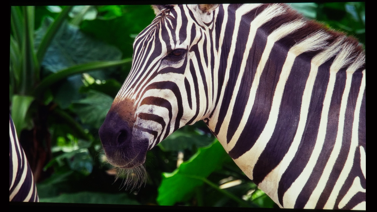 Horizon_20_Max_SDR#6