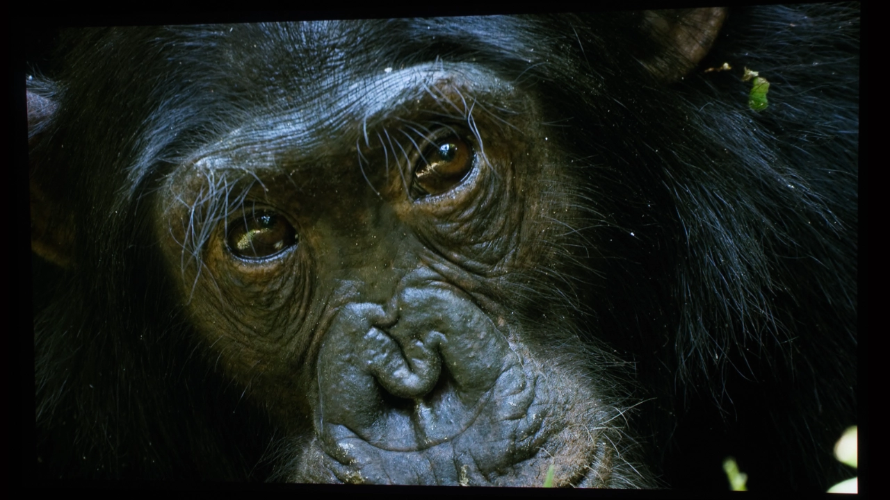 Nebula_X1_Pro_Blacks#3