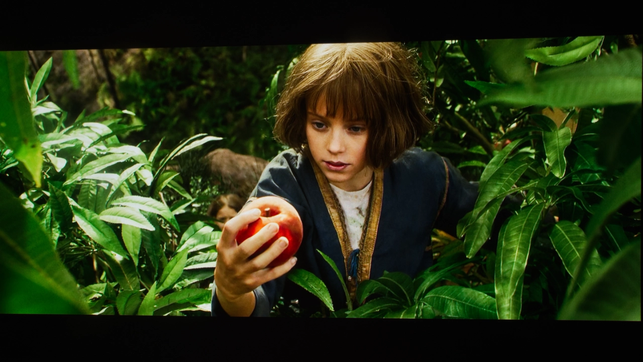 VisionMaster Max Color - Projector Reviews - Images