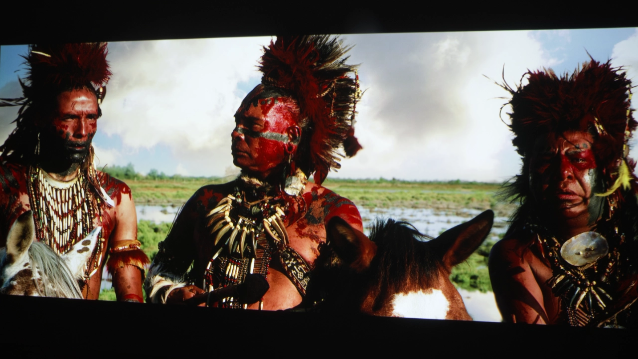 BenQ LK830ST Colors - Projector Reviews - Images